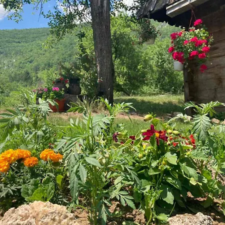 Apartman Mara Mokra Gora Exterior photo