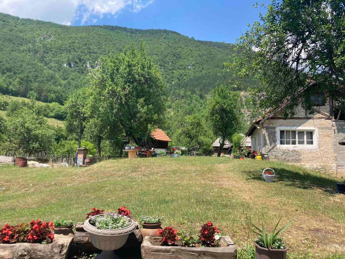 Mara * Mokra Gora