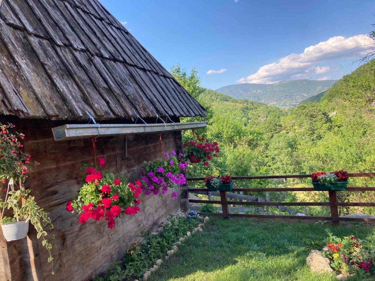 Apartment Mara Mokra Gora